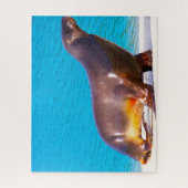 Puzzle Lions de mer (Vertical)