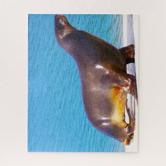 Puzzle Lions de mer (Vertical)