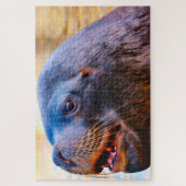 Puzzle Lions de mer (Vertical)