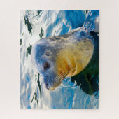 Puzzle Lions de mer (Vertical)