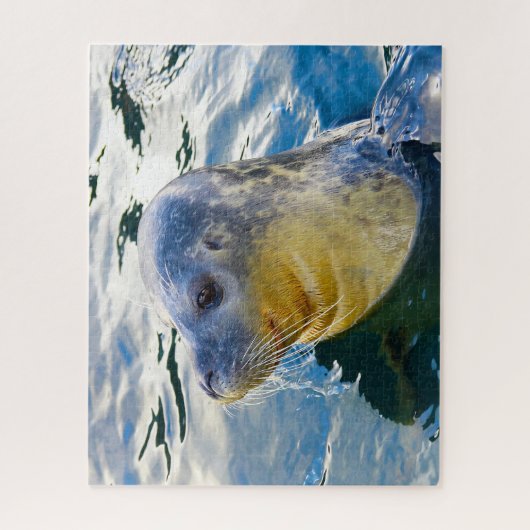 Puzzle Lions de mer (Vertical)