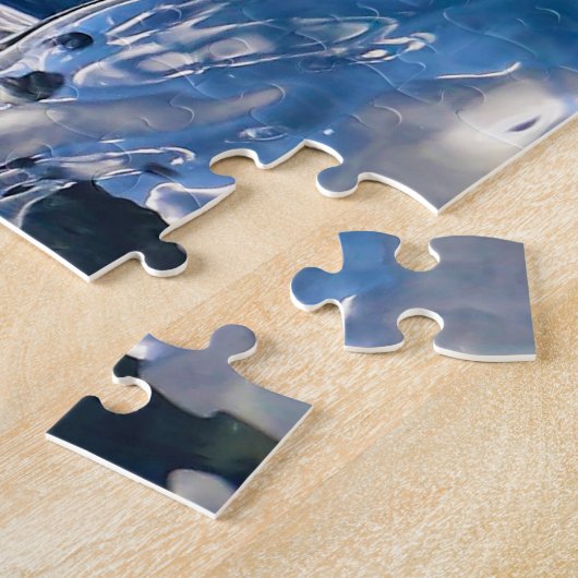 Puzzle Lions de mer (Côté)