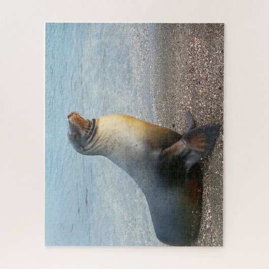 Puzzle Lions de mer (Vertical)