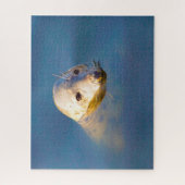 Puzzle Lions de mer (Vertical)