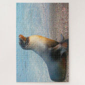 Puzzle Lions de mer (Vertical)