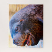 Puzzle Lions de mer (Vertical)