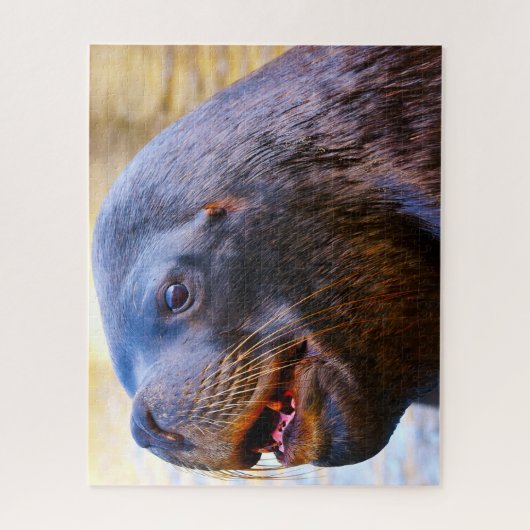 Puzzle Lions de mer (Vertical)