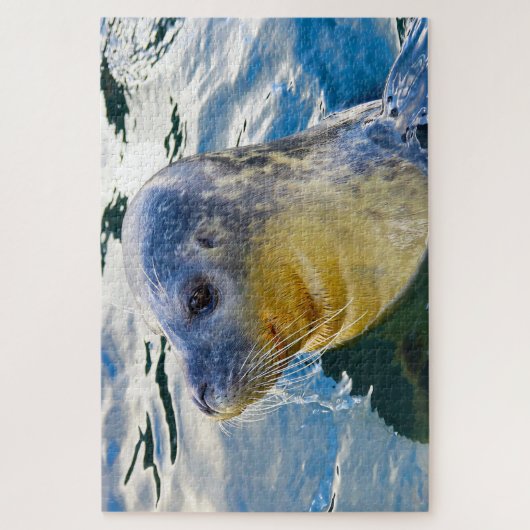 Puzzle Lions de mer de nos mers (Vertical)