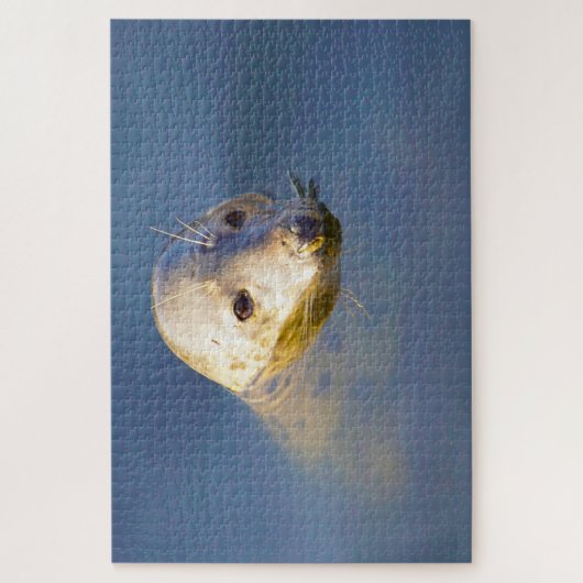 Puzzle Lions de mer de nos mers (Vertical)