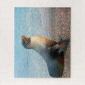 Puzzle Lions de mer de nos mers (Vertical)