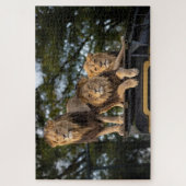 Puzzle Lions se détendant sur le toit d'une voiture de sa (Vertical)