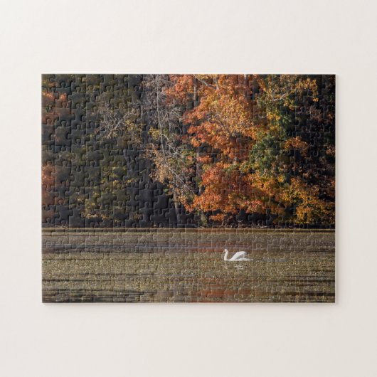 Puzzle Liquide du cygne et de l'automne (Horizontal)