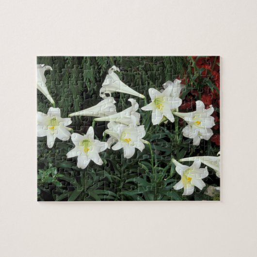 Puzzle Lis de Pâques (Lilium regale) (Horizontal)