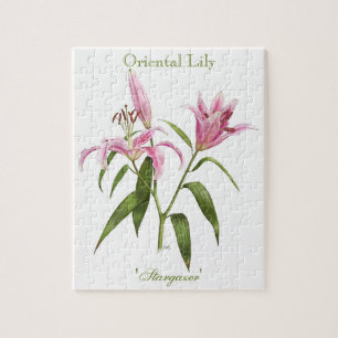 Puzzle Lis oriental - astronome