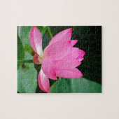 Puzzle Lit d'eau rose dans un étang (Horizontal)