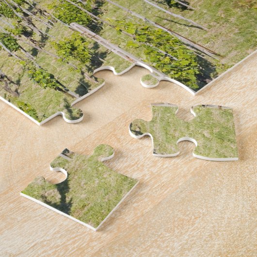 Puzzle L'Italie, Bologna, vue par le vignoble à Chiesa (Côté)