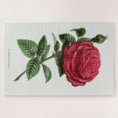 Puzzle Lithographie de rose antique, François-Frédéric Gr (Horizontal)