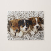 Puzzle Litter de chiots (Horizontal)