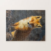 Puzzle Little Red Fox (Horizontal)