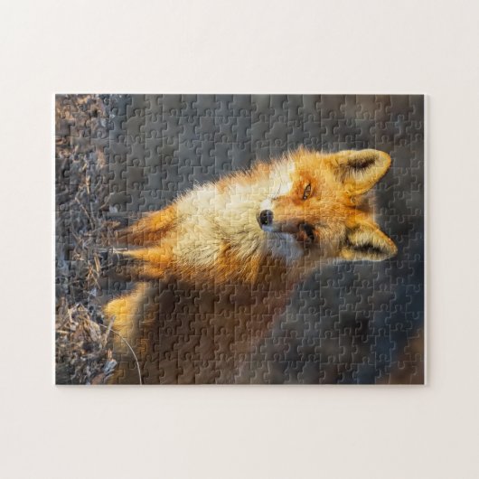 Puzzle Little Red Fox (Horizontal)
