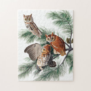 Puzzle Little Screech Owl par John James Audubon