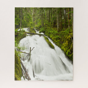 Puzzle Little Zig Zag Falls   Forêt nationale du mont Hoo