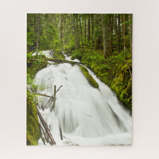 Puzzle Little Zig Zag Falls | Forêt nationale du mont Hoo (Vertical)