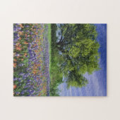 Puzzle Live Oak & Texas Paintbrush et Texas (Horizontal)