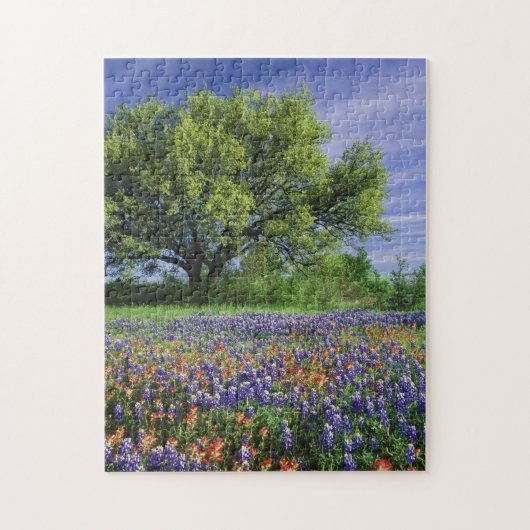 Puzzle Live Oak & Texas Paintbrush et Texas (Vertical)