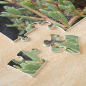 Puzzle Lizard (Côté)