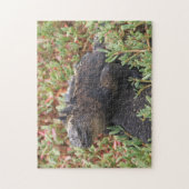 Puzzle Lizard (Vertical)