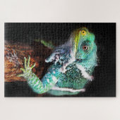 Puzzle Lizard (Horizontal)