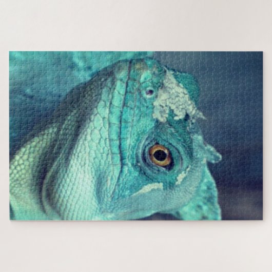Puzzle Lizard bleu (Horizontal)