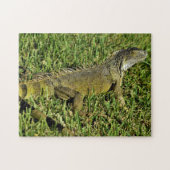Puzzle Lizard d'Iguana vert en herbe (Horizontal)