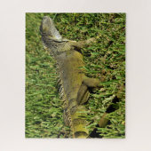 Puzzle Lizard d'Iguana vert en herbe (Vertical)