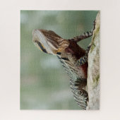 Puzzle Lizard - Eastern Water Dragon (Vertical)
