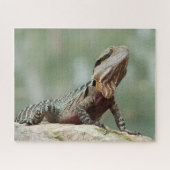 Puzzle Lizard - Eastern Water Dragon (Horizontal)
