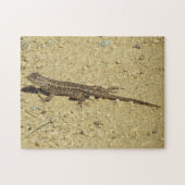 Puzzle - Lizard op vuil pad Legpuzzel (Horizontaal)