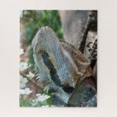 Puzzle Lizard Reptile Eau Est Dragon (Vertical)