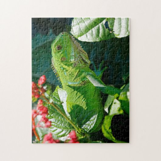 Puzzle Lizard vert Iguana (Vertical)