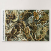 Puzzle Lizards reptiles par Ernst Haeckel (Horizontal)
