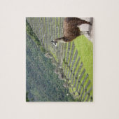 Puzzle llama (Vertical)