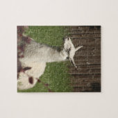 Puzzle Llama blanche (Horizontal)