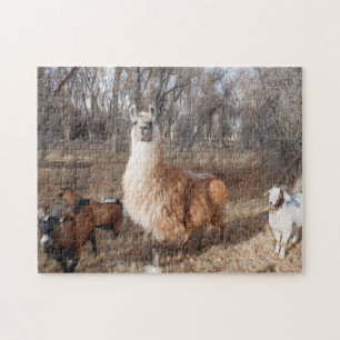Puzzle Llama et chèvres