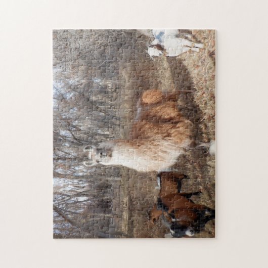 Puzzle Llama et chèvres (Vertical)