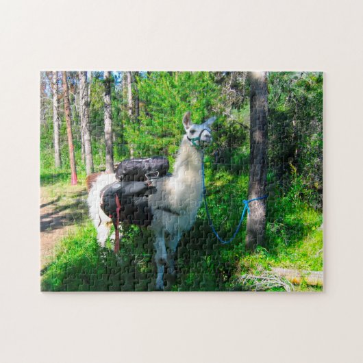 Puzzle Llama Pack Idaho. (Horizontal)