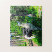 Puzzle Llama Pack Idaho. (Vertical)