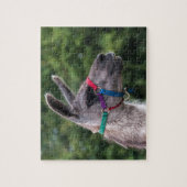 Puzzle Llama supériorité (Vertical)