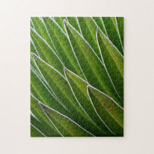 Puzzle Lobelia géante (Lobelia telekii) Kenya, Afrique