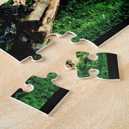 Puzzle Log Cabin at Cades Cove (Côté)